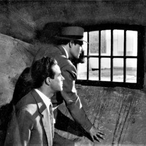 Search and Explore Films el expreso de andalucia 3 Your Complete Guide to Classic Film Noir