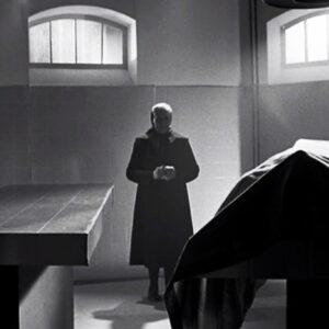 Search and Explore Films a clean shot 34 scaled e1643495943941 Your Complete Guide to Classic Film Noir
