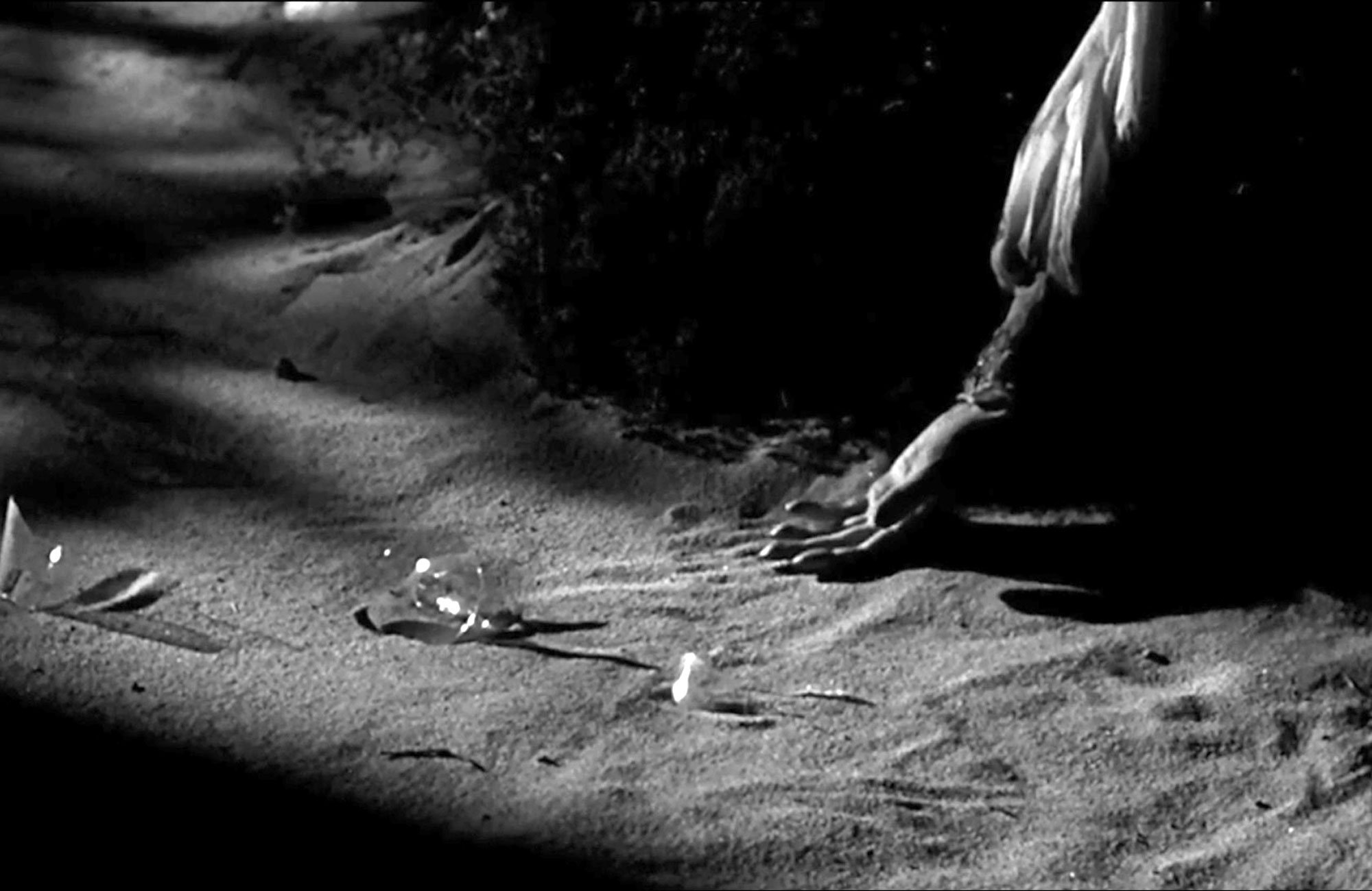 Female on the Beach, 1955